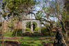 The Old Kitchen, Tyninghame House, Tyninghame, East Lothian, EH42 1XW - Picture #33