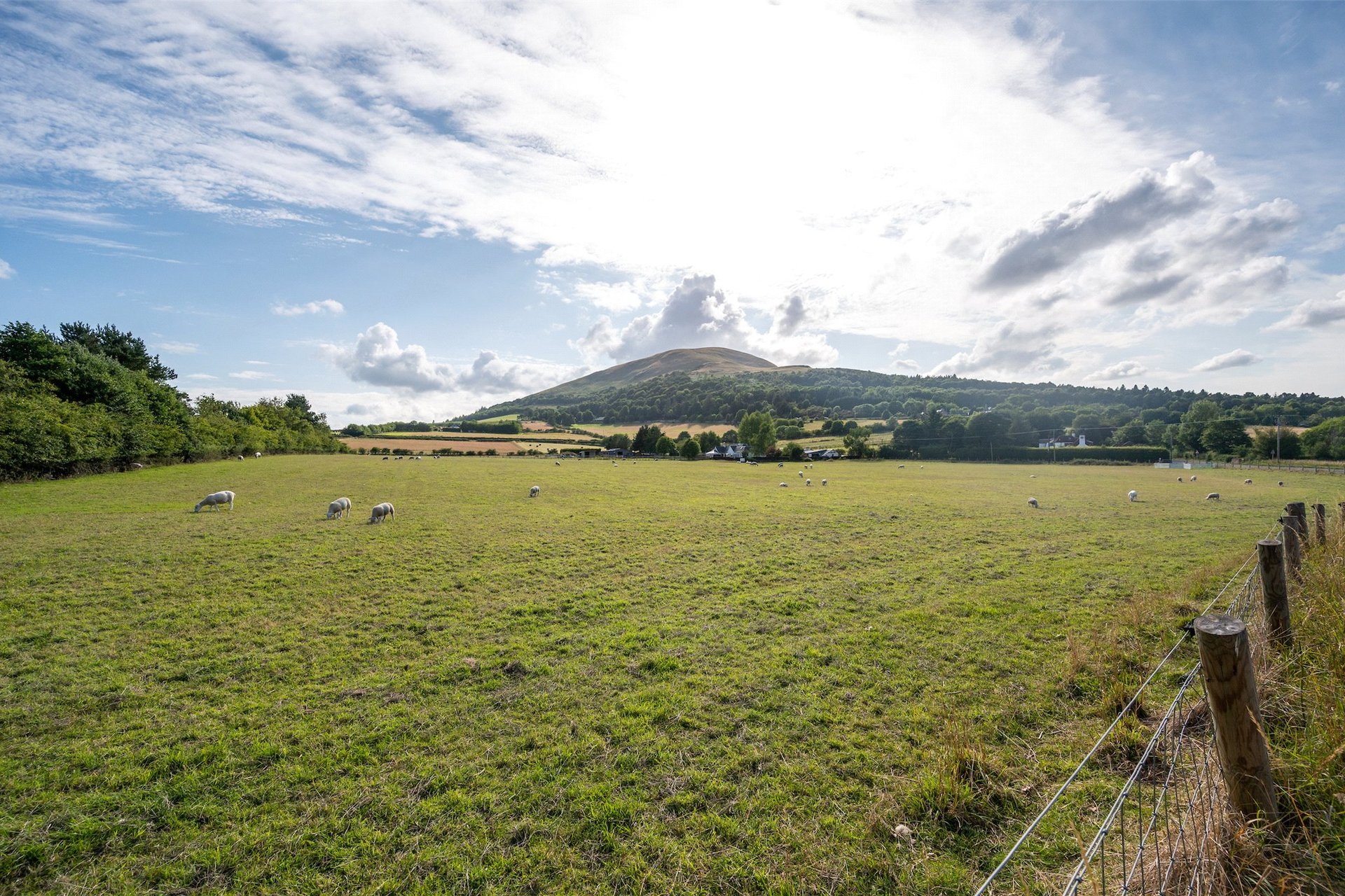 Lot 3 - Grass Paddock, 24 Damhead, Lothianburn, Edinburgh, EH10 7EA - Picture #3