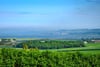 Hillview, Lucklawhill, Balmullo, St. Andrews, KY16 0BQ - Picture #2
