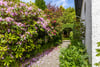 56 Thorn Road, Bearsden, G61 4BP - Picture #29