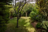 2 Heron Place, Kingennie, Broughty Ferry, Dundee, DD5 3PR - Picture #44