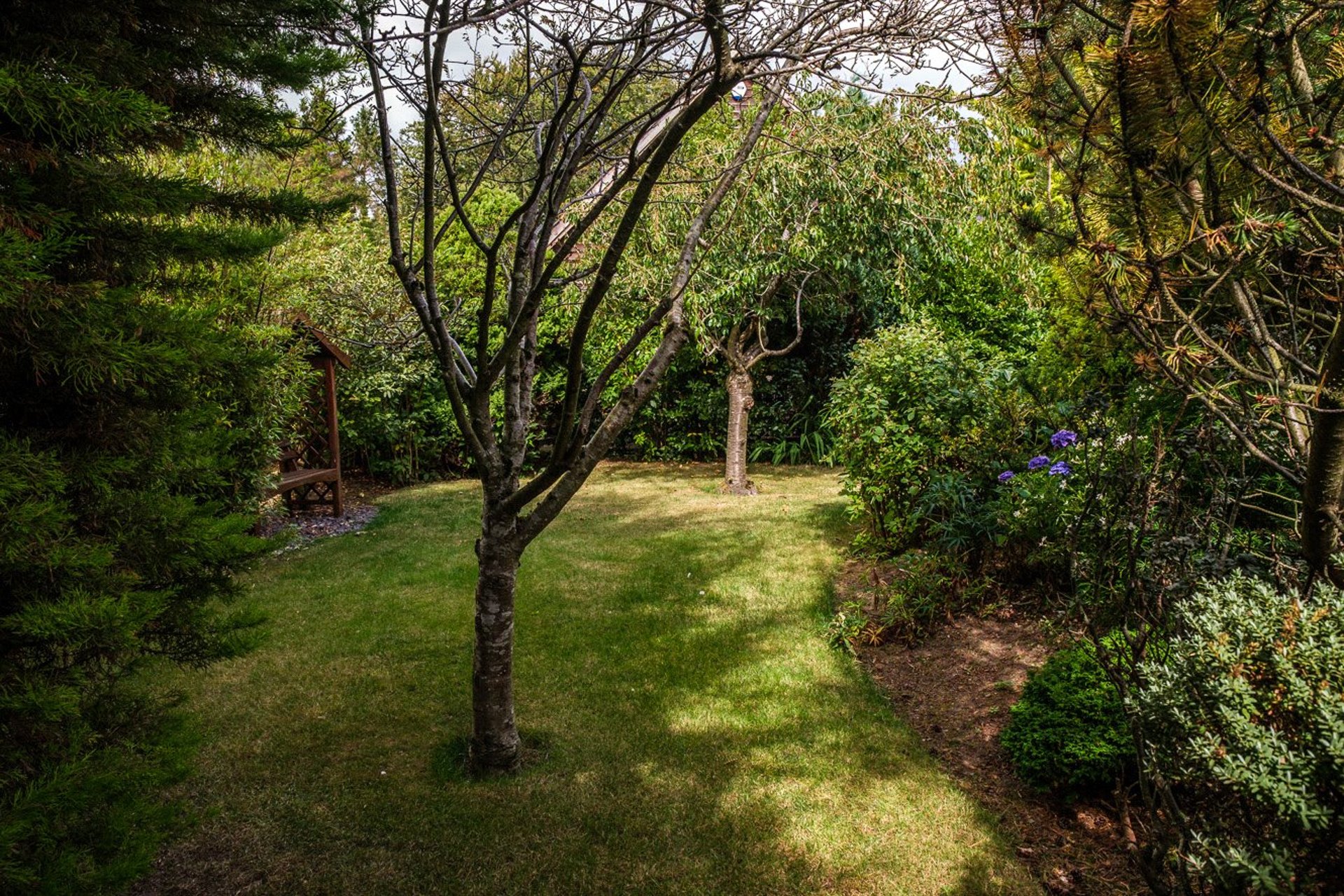 2 Heron Place, Kingennie, Broughty Ferry, Dundee, DD5 3PR - Picture #44