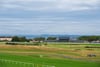 31 Linkfield Road, Musselburgh, East Lothian, EH21 7LL - Picture #3