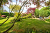 The Croft, 32 Church Road, Strathkinness, St. Andrews, Fife, KY16 9XR - Picture #32
