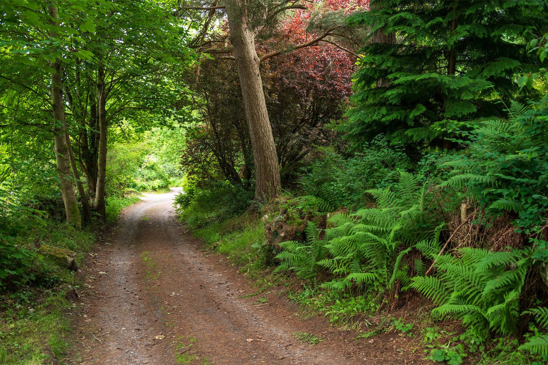 Plot At Dull, Dull, Aberfeldy, PH15 2JQ - Picture #4