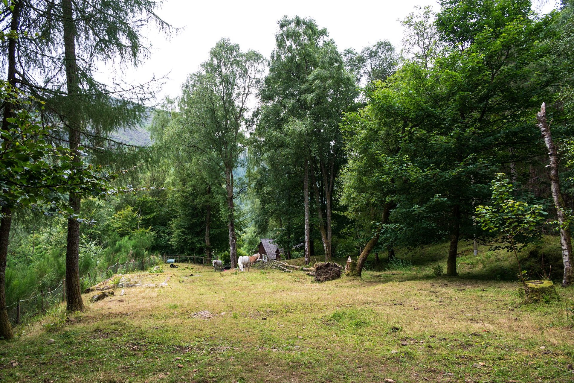 Tighnault, Glenlyon, Aberfeldy, Perth and Kinross, PH15 2PL - Picture #14