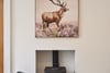9 Marchmont Street, Marchmont, Edinburgh, EH9 1EL - Picture #5