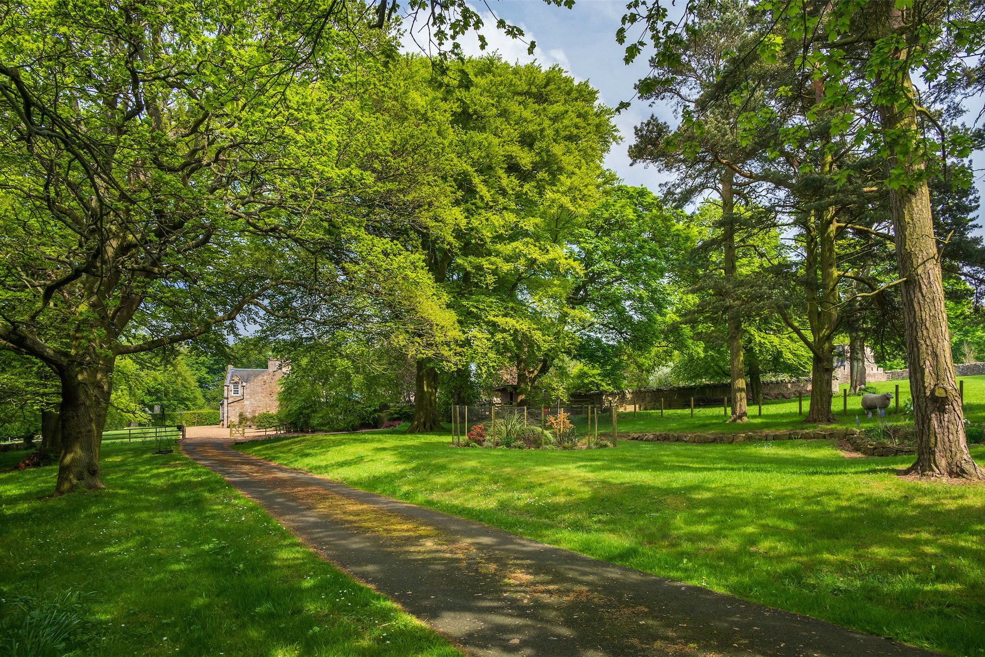 D'Arcy House, Dalkeith, Midlothian, EH22 5TH - Picture #5