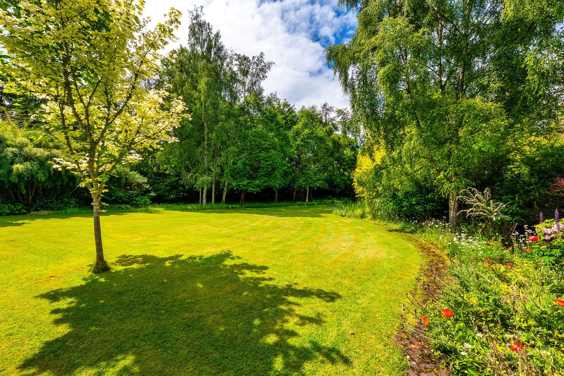 Mashock Cottage, Crossford, Carluke, South Lanarkshire, ML8 5NQ - Picture #45