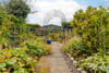 Knaresby, 6 Newton Avenue, Elderslie, Johnstone, PA5 9BB - Picture #53