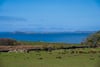Glencreggan House, Glenbarr, Tarbert, Argyll, PA29 6UT - Picture #18