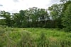 Plot at The Oaks, The Oaks, Moneydie, Luncarty, PH1 3HA - Picture #11