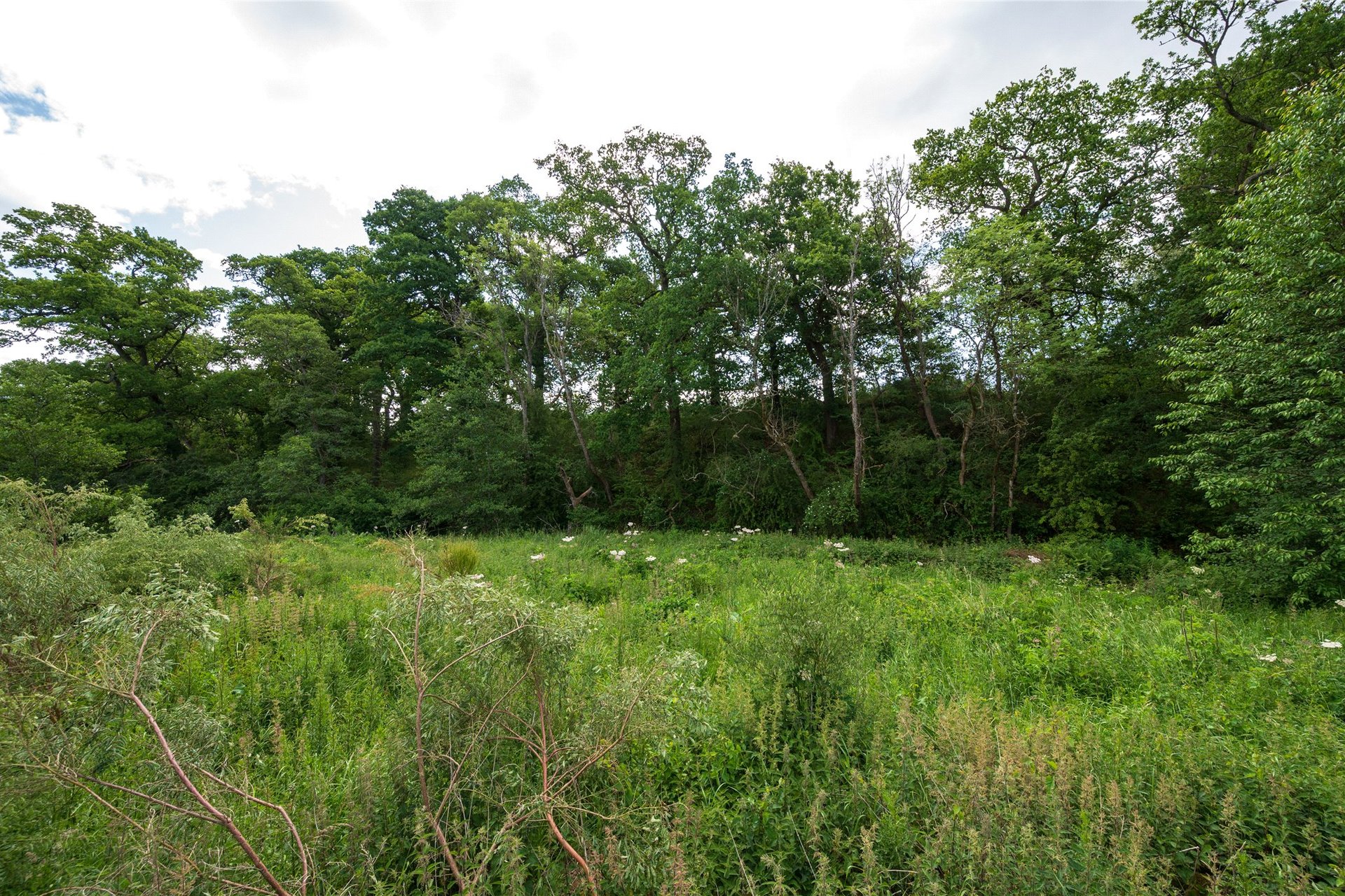 Plot at The Oaks, The Oaks, Moneydie, Luncarty, PH1 3HA - Picture #11