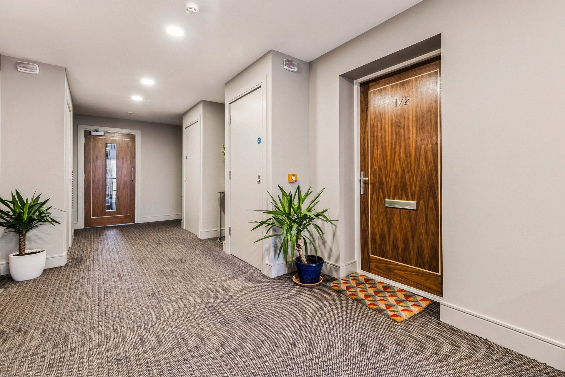 Flat 1/2, 2 Eastwoodhill Grove, Giffnock, Glasgow, East Renfrewshire, G46 6BB - Picture #5