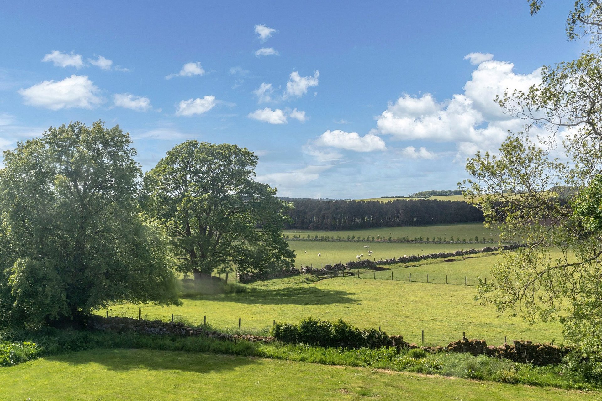 Borland Farm, Walston, Carnwath, Lanark, South Lanarkshire, ML11 8NF - Picture #27