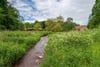 Frizzels Wood House, Spott, Dunbar, East Lothian, EH42 1RN - Picture #27