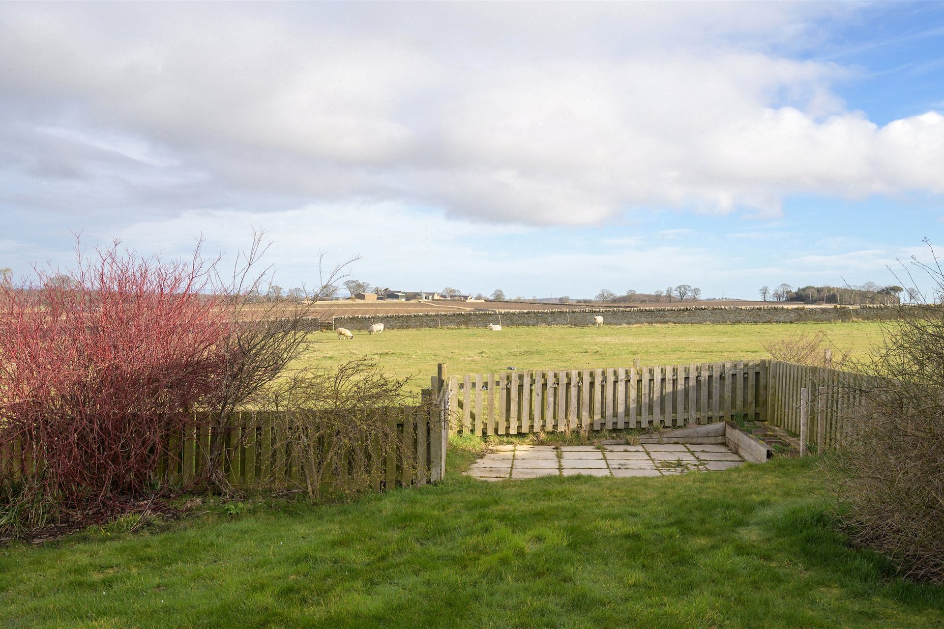 211 Main Street, Pathhead, Midlothian, EH37 5SQ - Picture #25