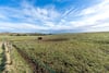 Easter Glasslie House, Leslie, Glenrothes, Fife, KY6 3HQ - Picture #34