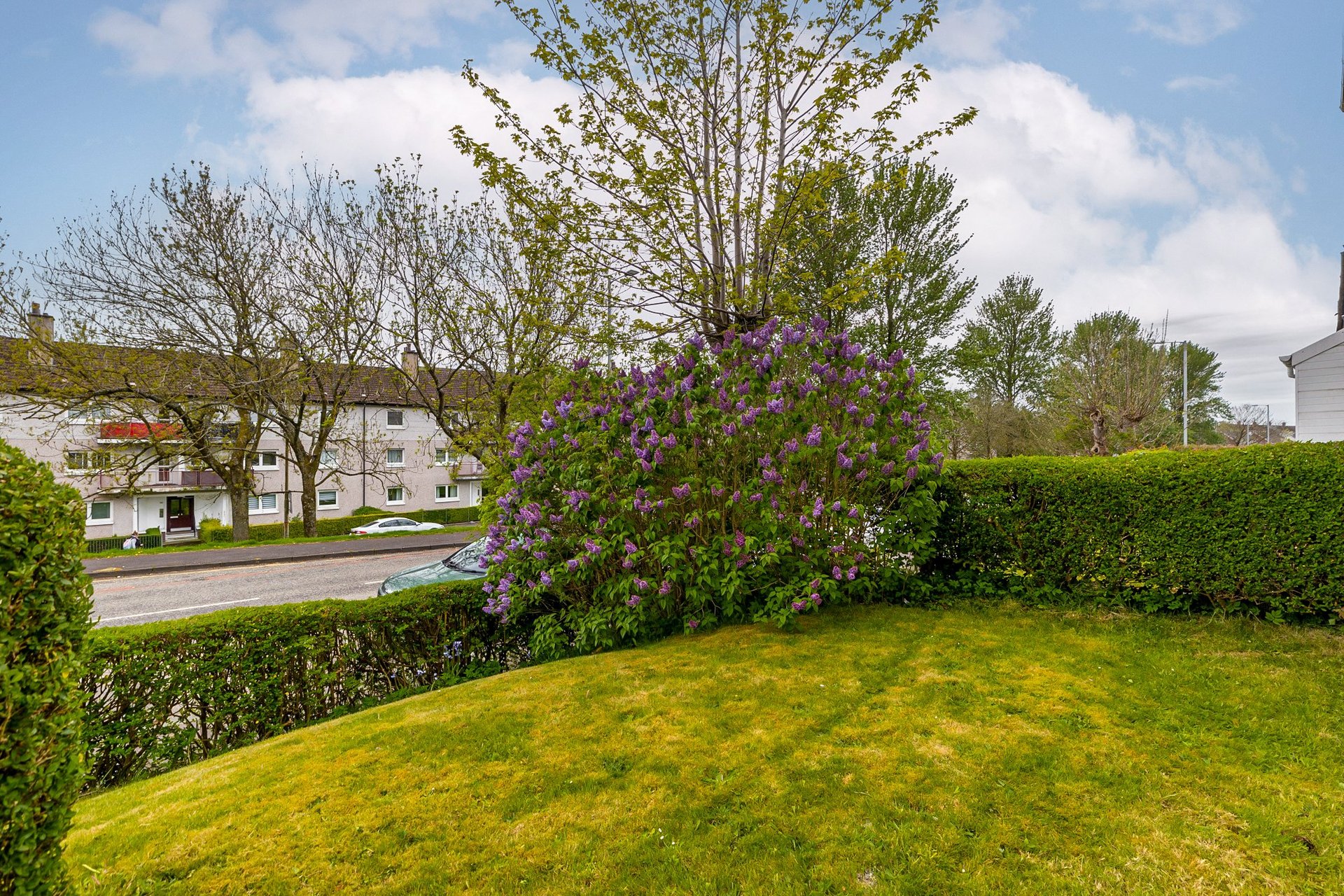 259 Croftfoot Road, Croftfoot, Glasgow, G44 5LD - Picture #30