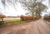 Bannatyne Field, Kirkton Road, Newtyle, Angus, PH12 8TS - Picture #3