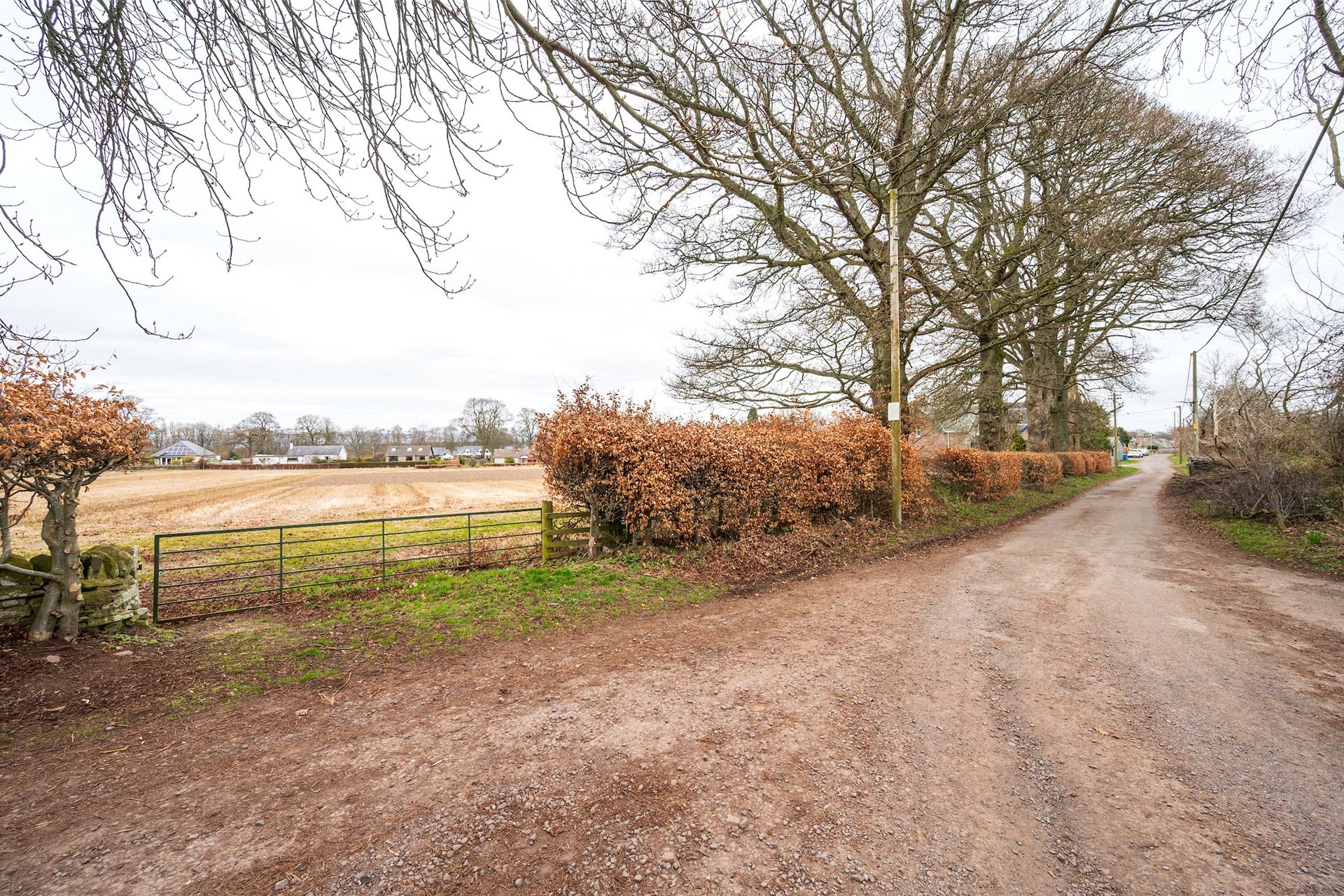 Bannatyne Field, Kirkton Road, Newtyle, Angus, PH12 8TS - Picture #3