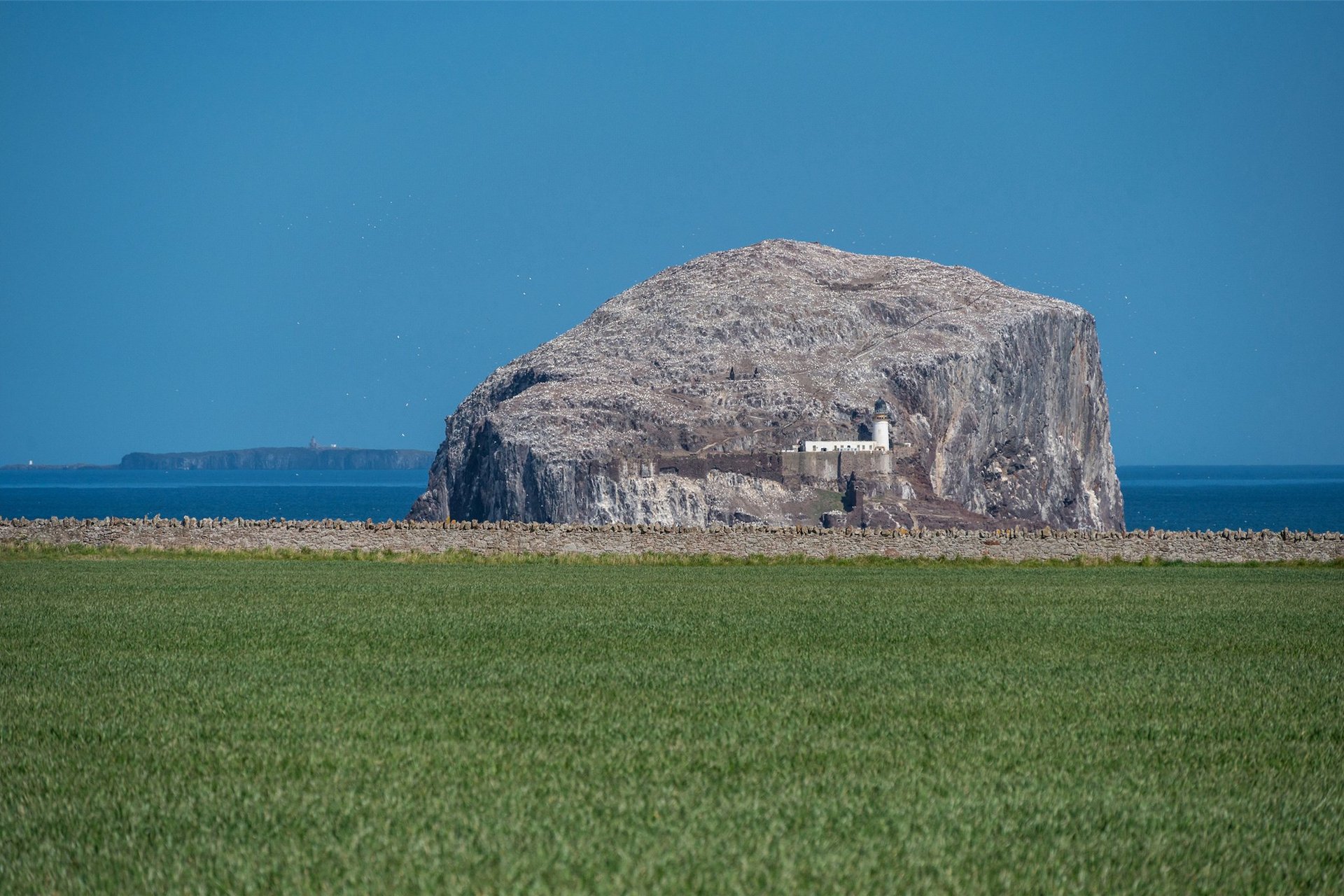 2 Castleton Farm Cottage, North Berwick, East Lothian, EH39 5PN - Picture #24