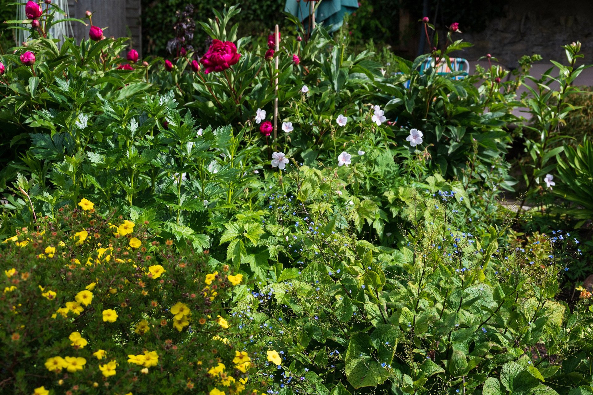 2 Fala Village, Pathhead, Midlothian, EH37 5SY - Picture #18