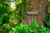 Tullycross, Croftamie, Stirlingshire, G63 0HG - Picture #47