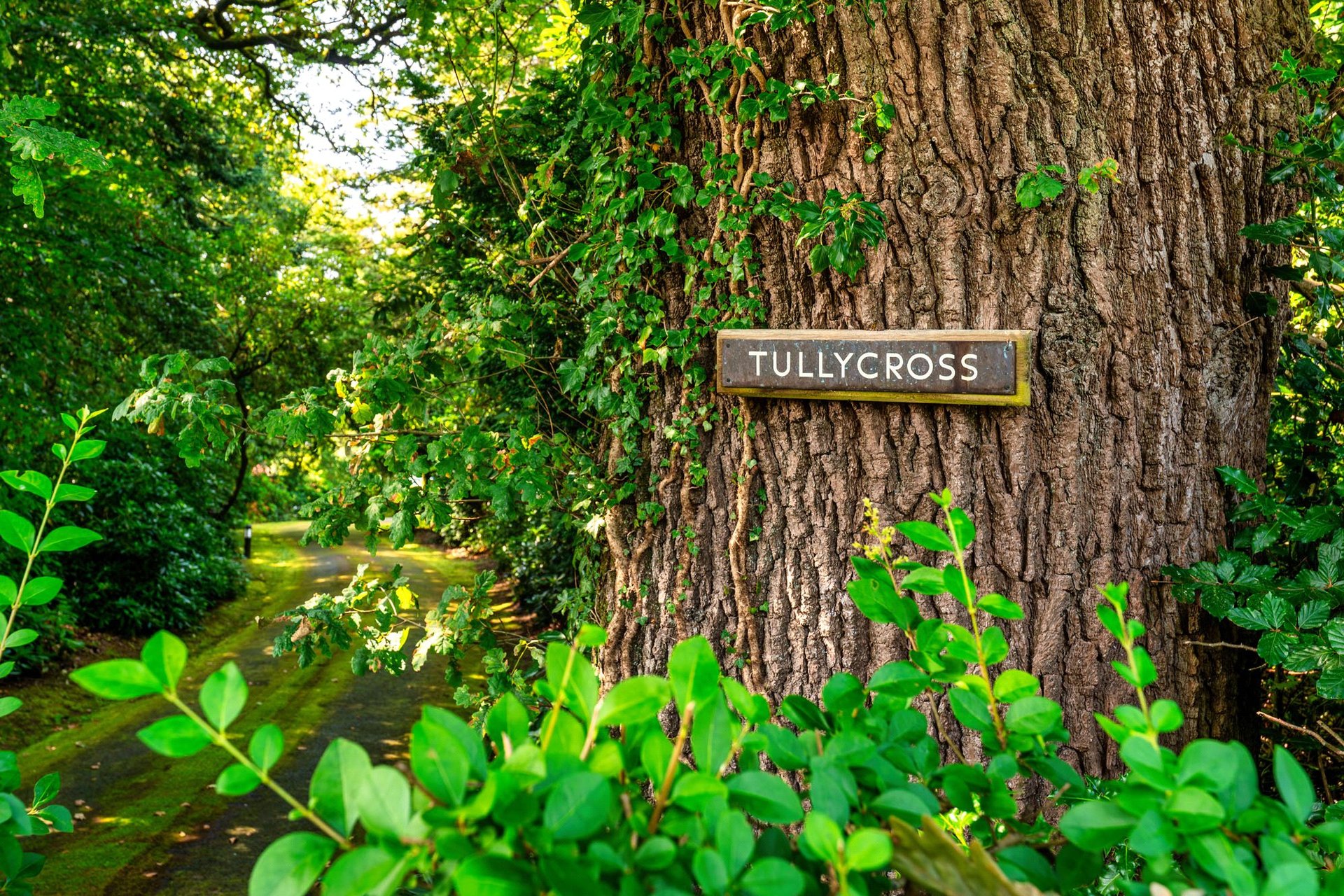 Tullycross, Croftamie, Stirlingshire, G63 0HG - Picture #47