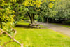 Flat 3, 8 Woodside Place, Park, Glasgow, G3 7QF - Picture #38