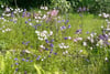 6 Renshaw Road, Bishopton, Renfrewshire, PA7 5HN - Picture #29