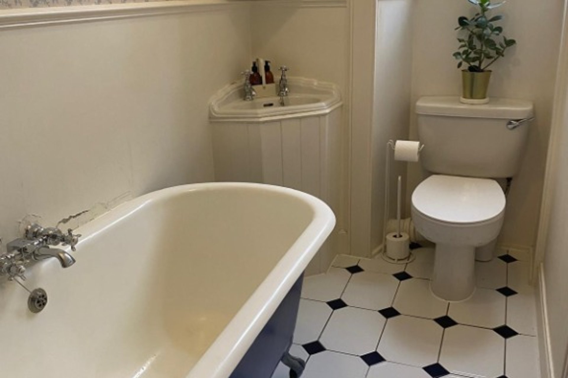 53 Warrender Park Road, Marchmont, Edinburgh, EH9 1EU - Picture #9