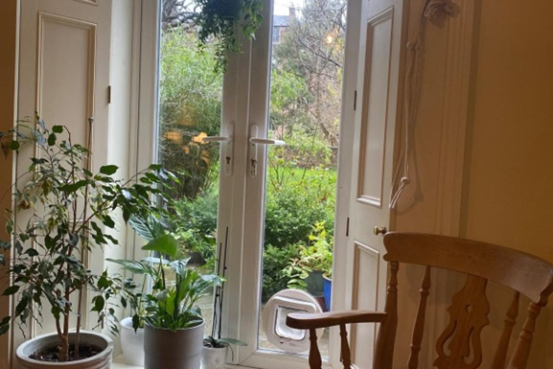 53 Warrender Park Road, Marchmont, Edinburgh, EH9 1EU - Picture #22