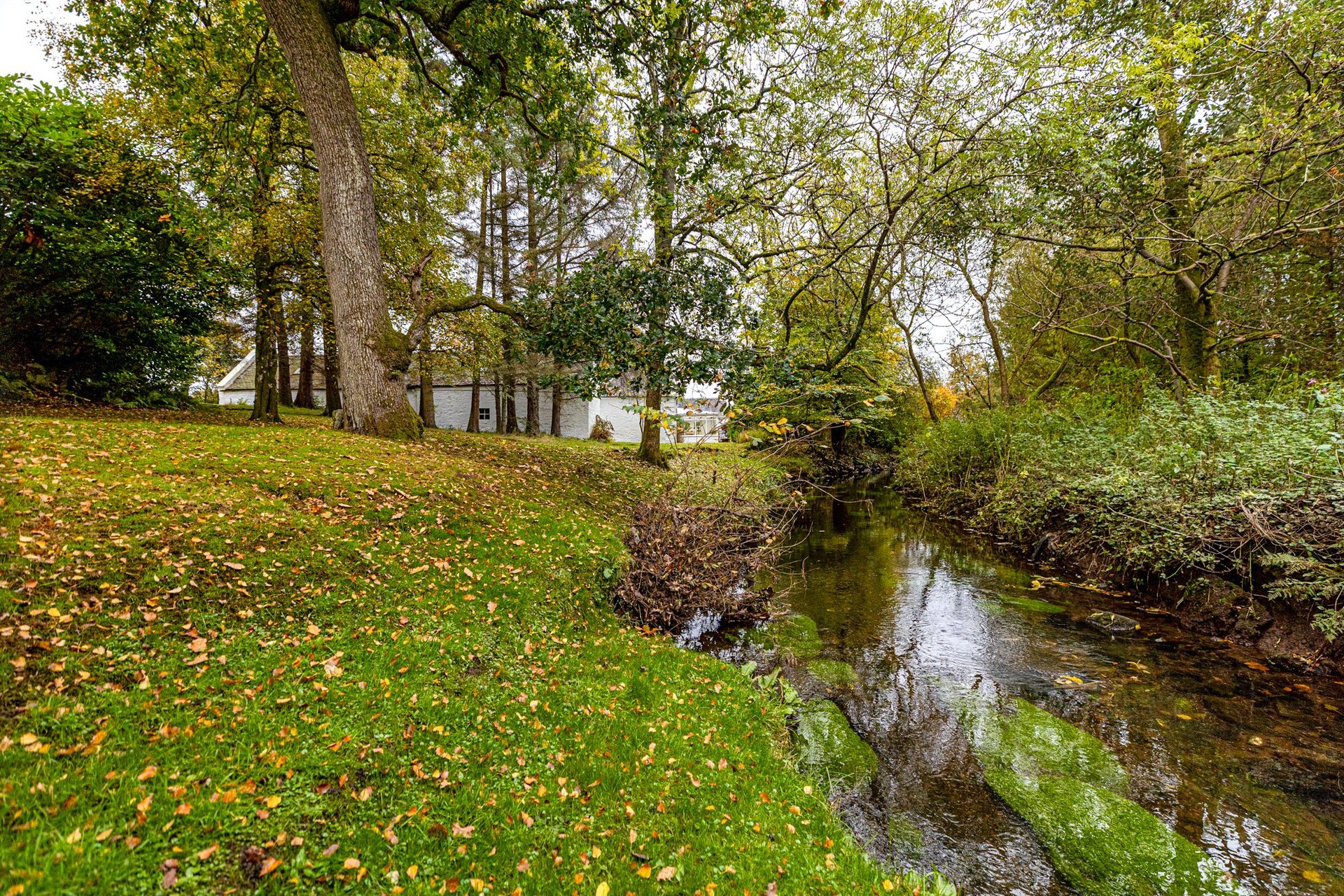 Barcapel Holm Farm, Newton Mearns, Glasgow, East Renfrewshire, G77 6NN - Picture #58
