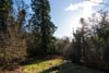 Keillour Castle, Methven, Perth, PH1 3RA - Picture #31