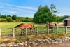Allerly Mains, Gattonside, Melrose, Scottish Borders, TD6 9LT - Picture #38