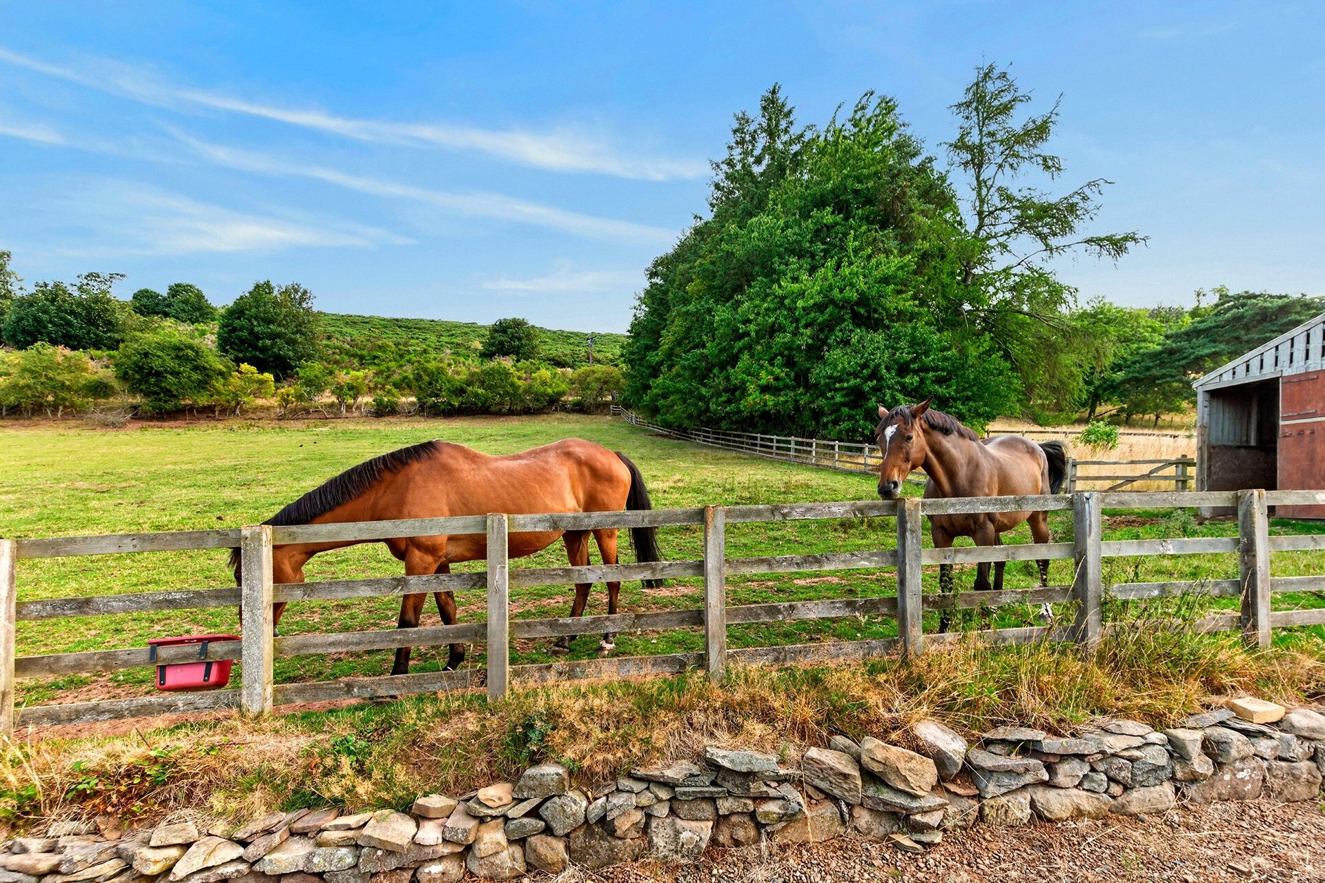 Allerly Mains, Gattonside, Melrose, Scottish Borders, TD6 9LT - Picture #38