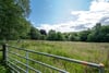 Drydenbank Nursery, 64 Polton Road, Loanhead, Midlothian, EH20 9DB - Picture #32