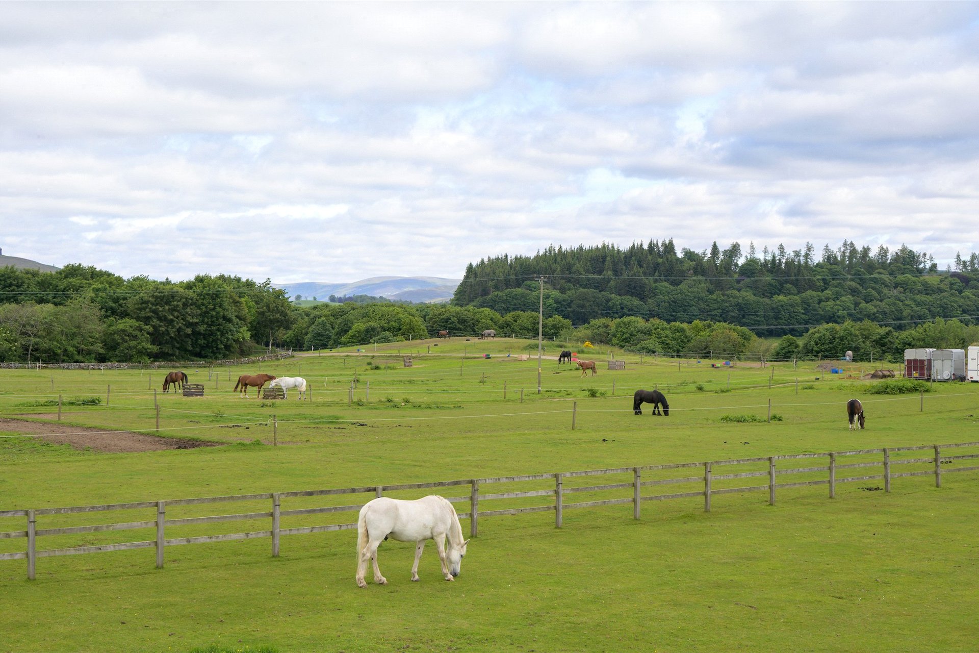 Auchlishie Farm, Kinnordy, Kirriemuir, Angus, DD8 4LS - Picture #16