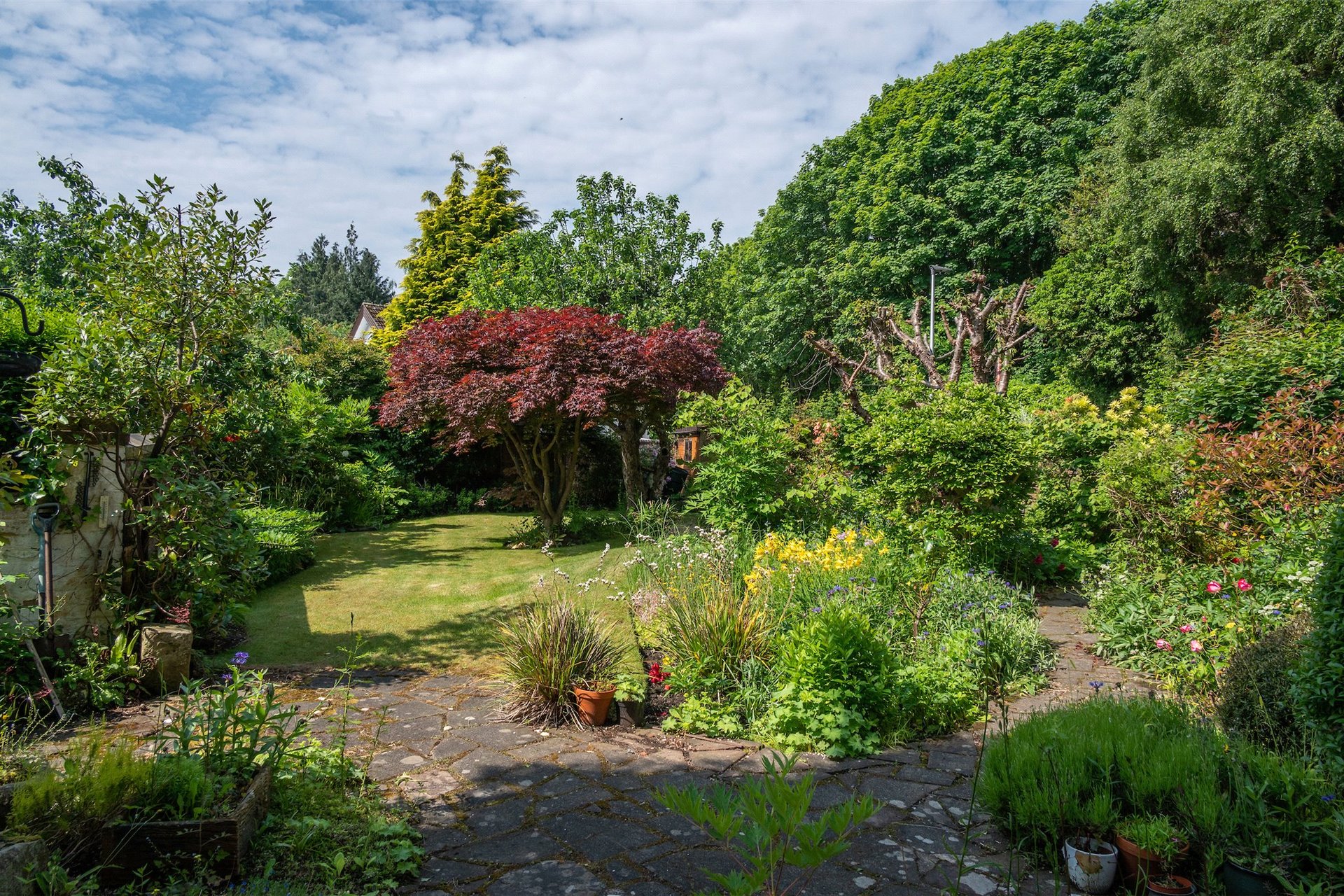 Whitehaven, 1 Torsonce Road, Eskbank, Midlothian, EH22 3AQ - Picture #24