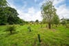 The Milton, Auchterarder, Perth and Kinross, PH3 1DP - Picture #23