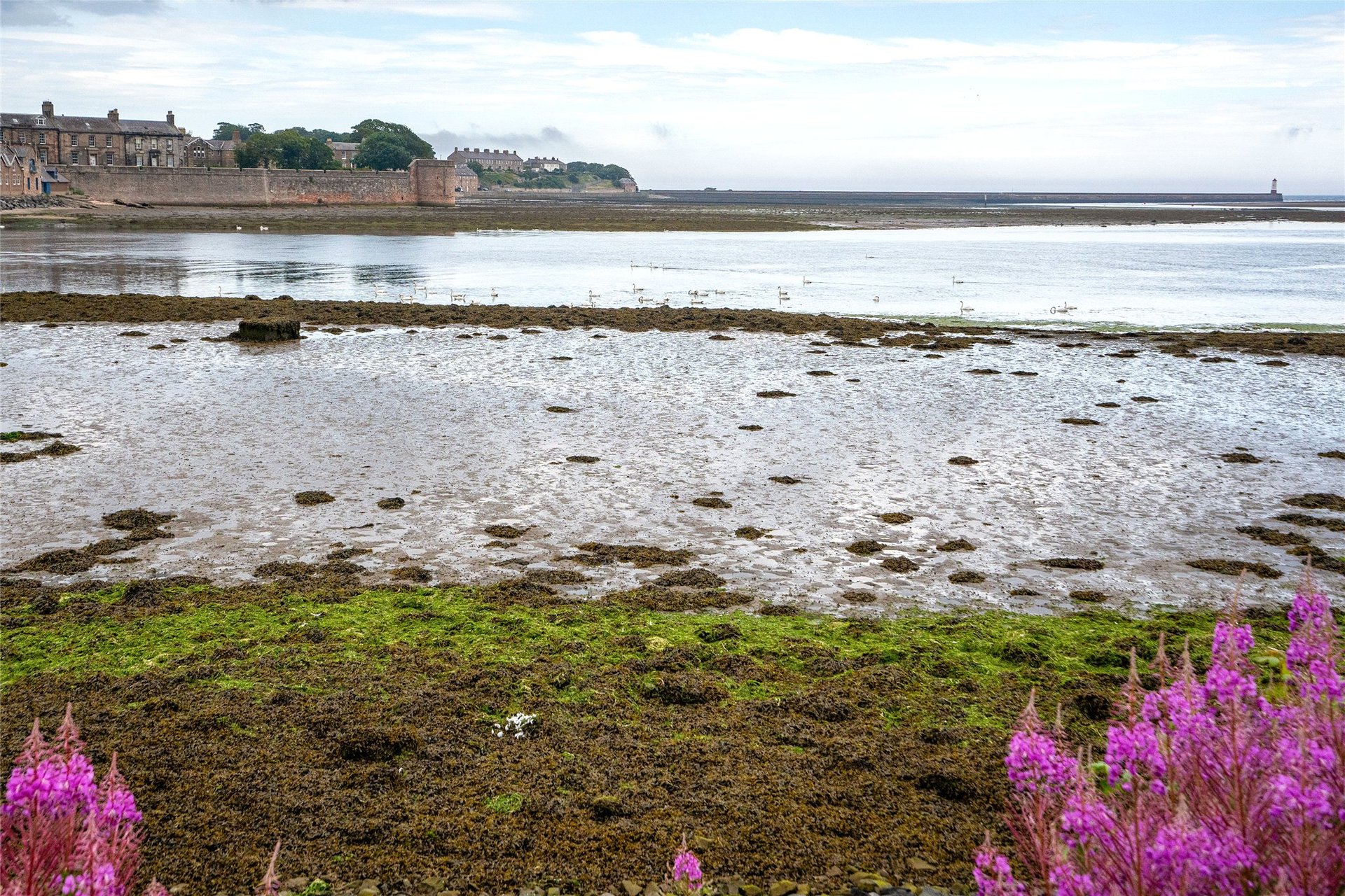 Seal Cottage, Tower Road, Tweedmouth, Berwick-upon-Tweed, TD15 2BD - Picture #16