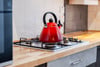 1/2, 2 Hampden Terrace, Mount Florida, Glasgow, G42 9XG - Picture #13