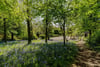 Clatto House, Blebocraigs, Cupar, Fife, KY15 5UE - Picture #36