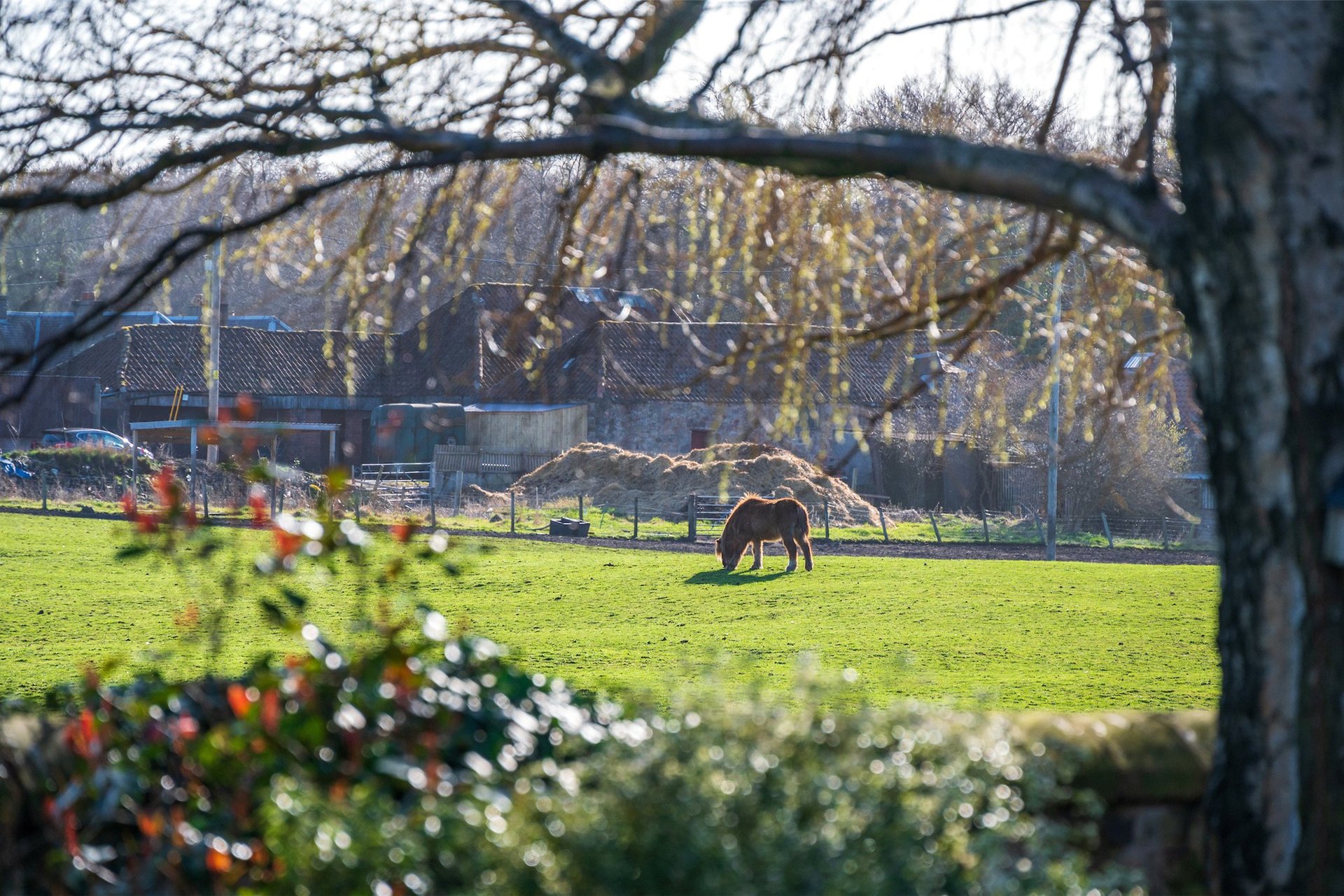 Old Schoolhouse, Cowpits Road, Whitecraig, Musselburgh, EH21 8LX - Picture #30