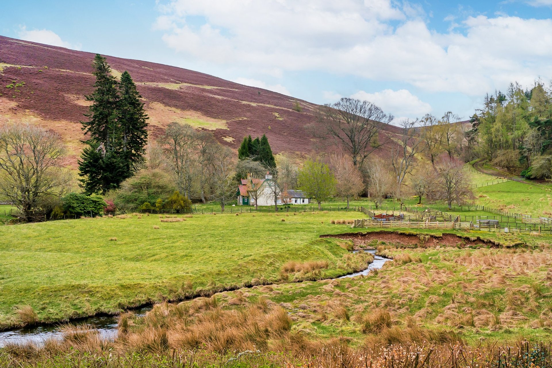 Valley Cottage, Innerleithen, Scottish Borders, EH44 6PX - Picture #27