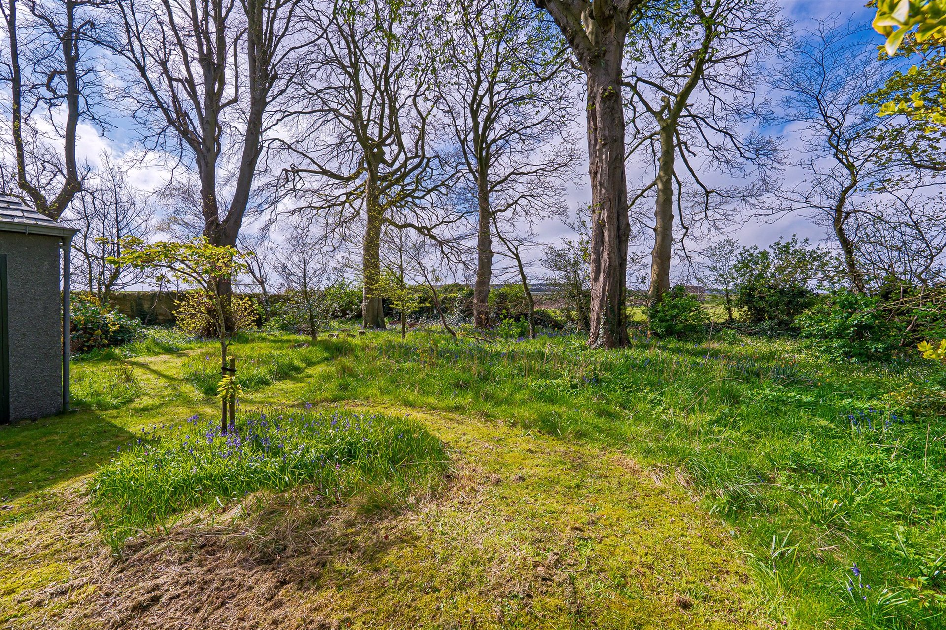 Kirk House, 18 Main Street, Kingsbarns, St. Andrews, KY16 8SZ - Picture #39