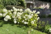 6 Inzievar Courtyard, Dunfermline, Fife, KY12 8HB - Picture #28