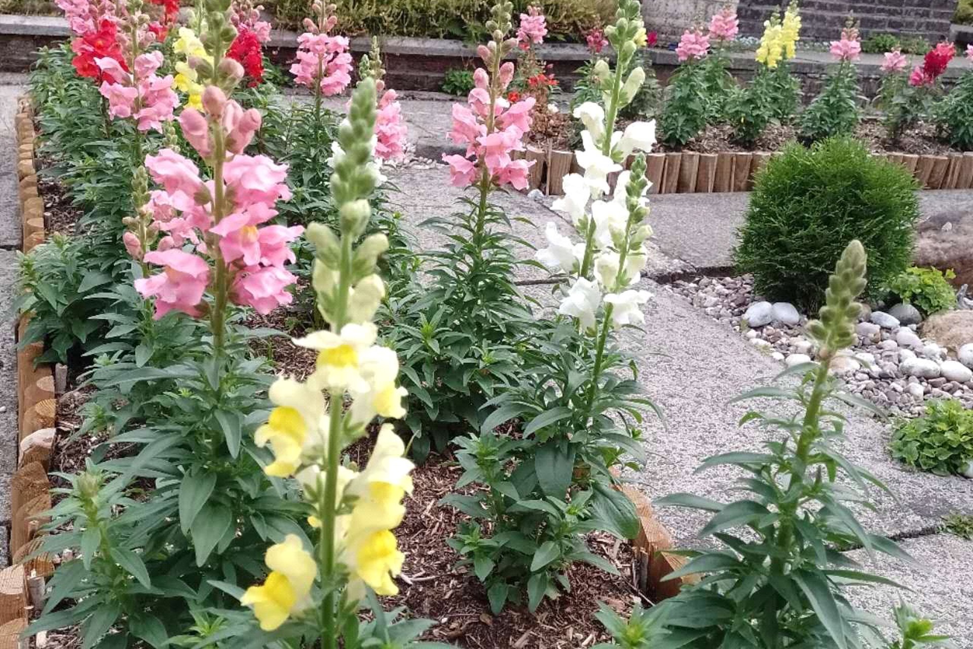 1 Dunmore Drive, Milngavie, G62 6NZ - Picture #15