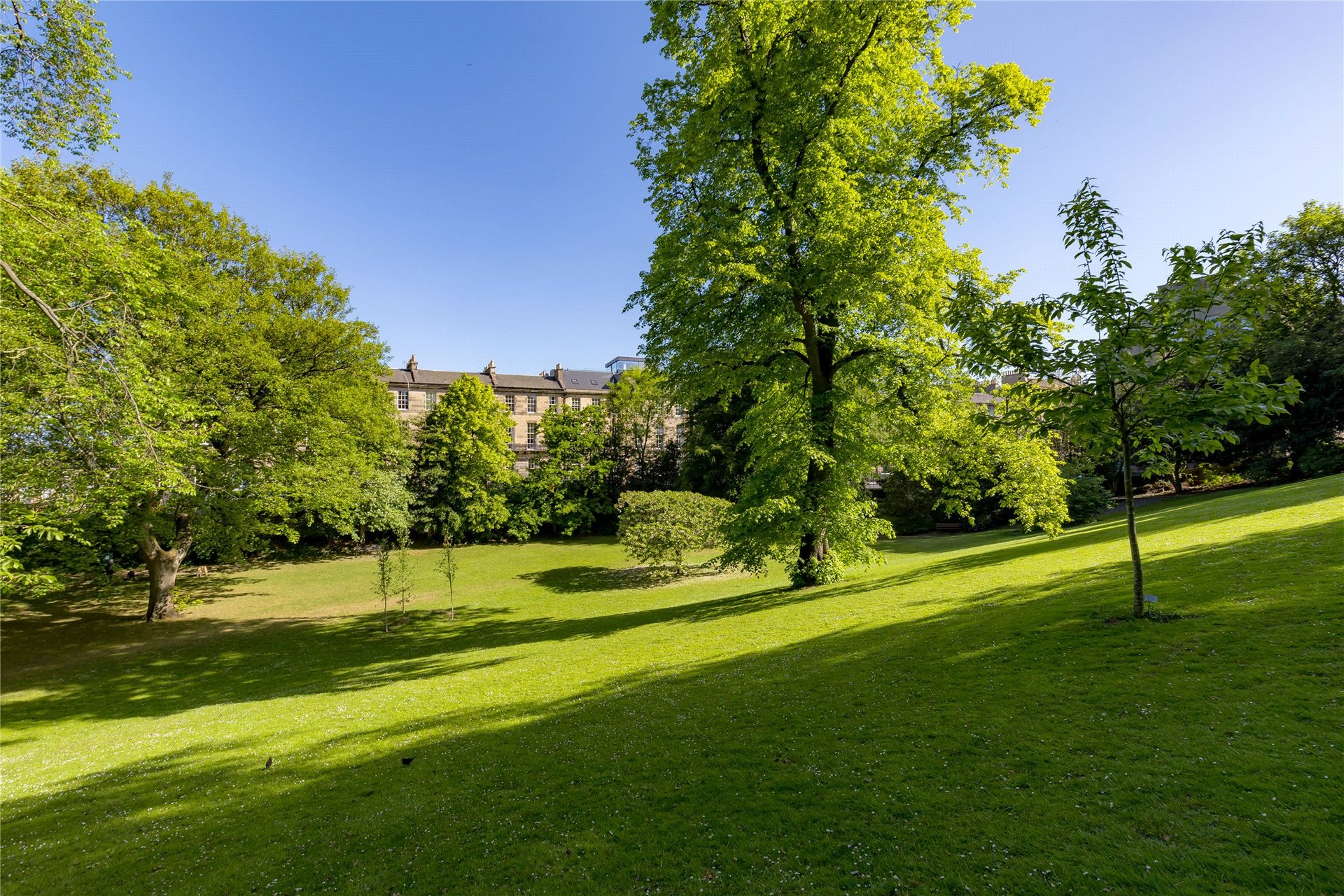3F2, 11 Dundonald Street, Edinburgh, EH3 6RZ - Picture #31